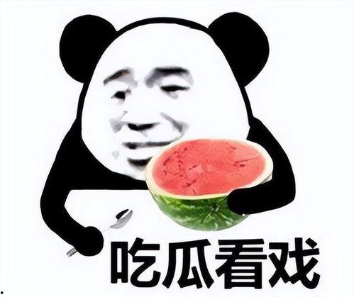 吃瓜表情包怎么回复幽默句子,笑料横生的幽默回复大盘点